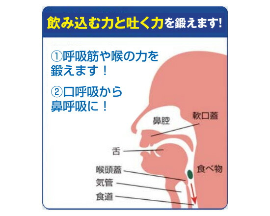 ブレストレーナー その他 呼吸筋トレーナー 吸気と呼気が鍛えられる 在庫あり トレーニンググッズ 星虎先生 健康グッズ トレーニング器具 星虎先生の 呼吸筋トレーナー 送料無料 代引料無料 Nstショッピング