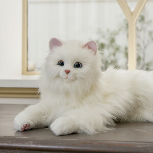 楽天市場】【即納】しっぽふりふり あまえんぼう子ねこちゃん 送料無料