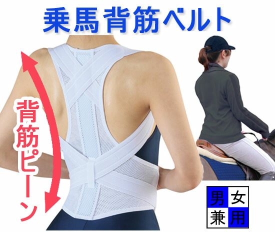 在庫あり 背筋伸ばしインナー 男性 女性 【高い素材】 代引き手数料無料 男女兼用 乗馬背筋ベルト 猫背矯正ベルト 背筋矯正インナー 猫背矯正インナー 背筋矯正ベルト 背筋伸ばしベルト