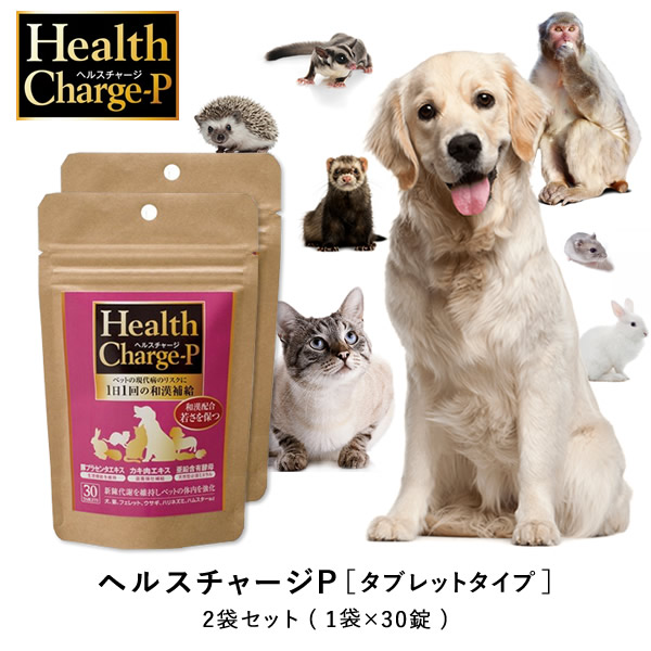 グッドガッツ 猫用 15g サプリメント 乳酸菌 ビフィズス菌 酵素 ペット PET