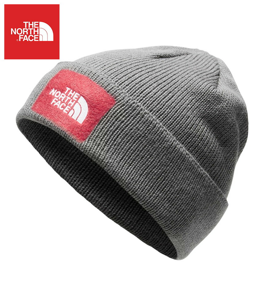 the north face logo beanie