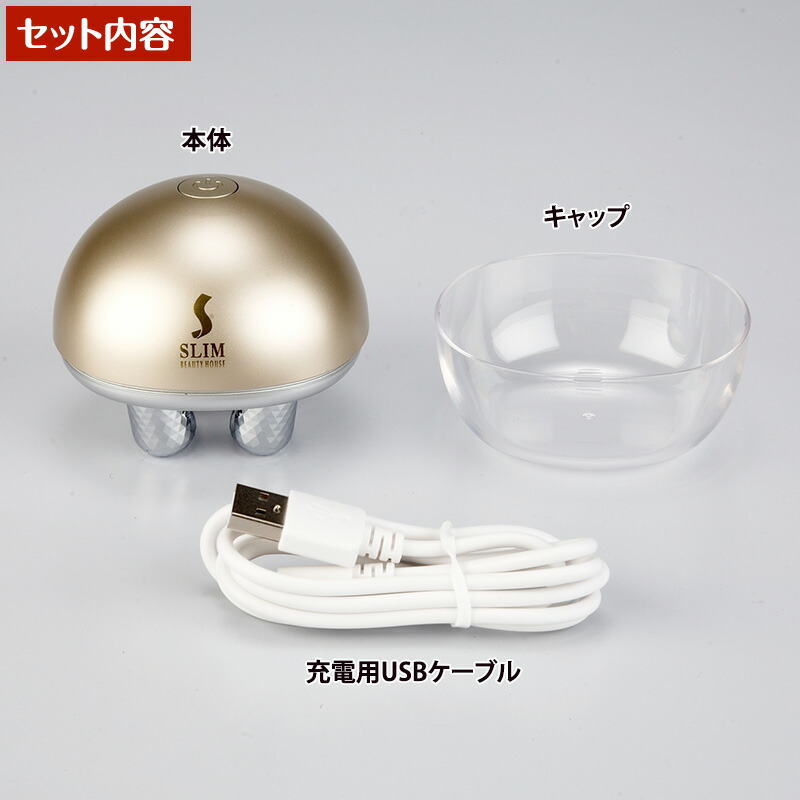 スリムビューティハウス クワトロローラー EMS 日テレポシュレ(日本