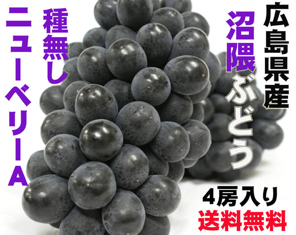 楽天市場 広島産沼隈ぶどう種無しニューベリーa赤秀品４房入 贈答用 常温便 沼隈ぶどう産直便