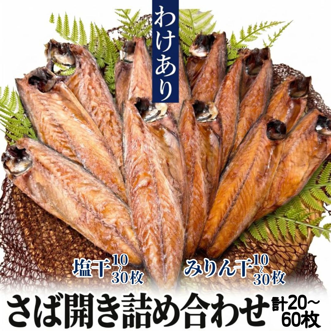 訳あり サバ みりん干し 塩干し セット 20枚~60枚 干物 干物 魚 鯖 食品 一品 簡単調理 お手軽 料理 通販 お取り寄せ お中元 送料無料 ギフト 贈答 おかず ご飯 朝食 夕食|沼津自慢