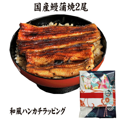 特別ラッピング　国産鰻蒲焼パック２尾　国産うなぎ　ギフト　送料無料　冷蔵クール便　風呂敷ハンカチ｜鰻専門店　沼津うなよし 7,160円