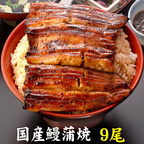 新品即決 楽天市場 手焼き 国産鰻蒲焼９尾 送料無料 国産うなぎ 冷蔵クール便 鰻専門店 沼津うなよし 独創的 Lexusoman Com
