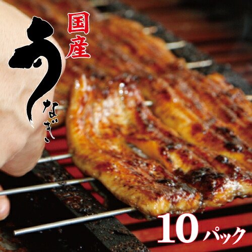手焼き　国産鰻蒲焼お値打ちサイズ１０パック　送料無料　国産うなぎ　冷蔵クール便　お手頃サイズ