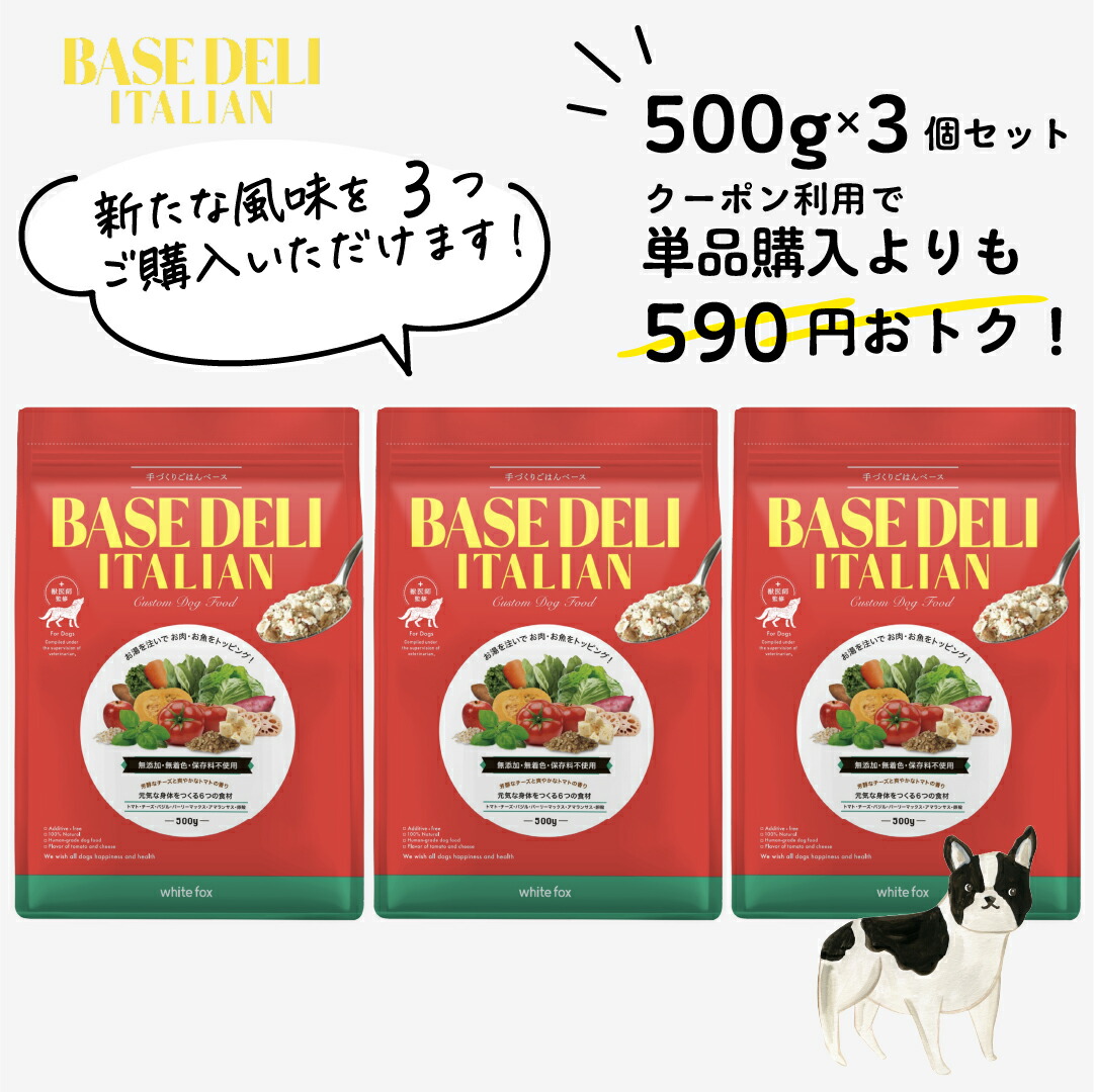 ベースデリ 手作りごはんベース ソイミルク フルーツ お試し 犬 腎臓