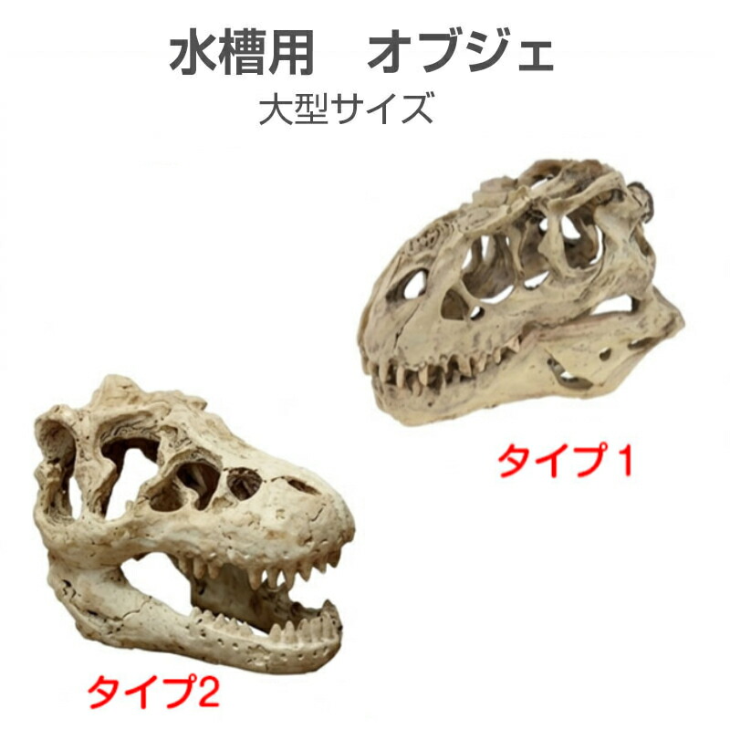 楽天市場】アクアリウム オブジェ 恐竜 頭蓋骨 骨 隠れ家 リアル 化石