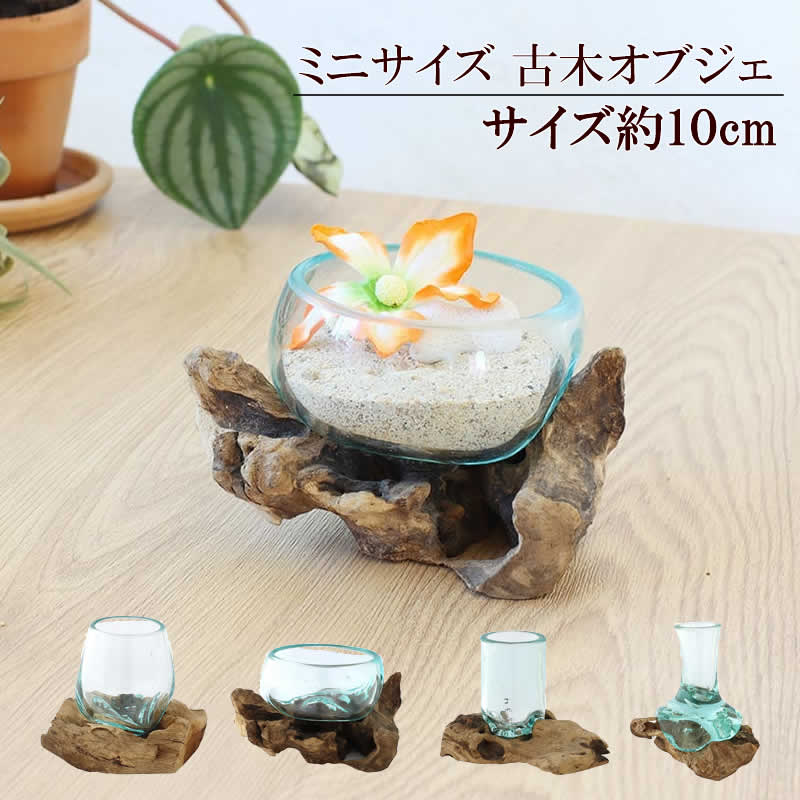 楽天市場】グラスオブジェ 置物 オブジェ エアプランツ 天然木 ガラス