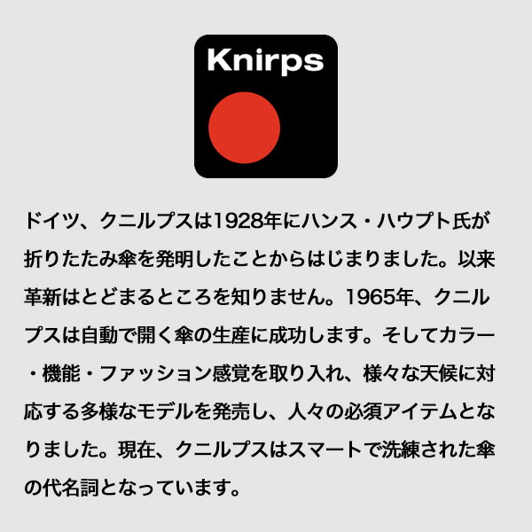折りたたみ傘 クニルプス KNV6225-6908 Vision 男性 Safety ビジョン 日傘 VISION 晴雨兼用 Knirps 自動開閉  Duomatic メンズ