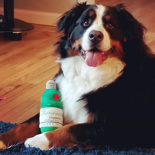 楽天市場 オートディギティドッグ Haute Diggity Dog 犬 おもちゃ Tanqueruff Gin ジン Hdd039 音が鳴る 犬用ぬいぐるみ 布製 中型犬 大型犬 ソフト おしゃれ 正規輸入品 あす楽対応 Nuts 時計 デザイン雑貨