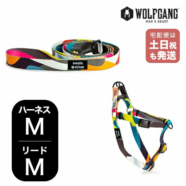 wh-002-wl-002-112.jpg wh-002-wl-002-112.jpg