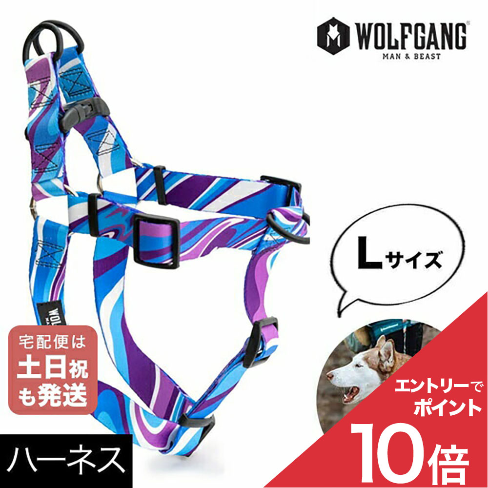 NEW ARRIVAL