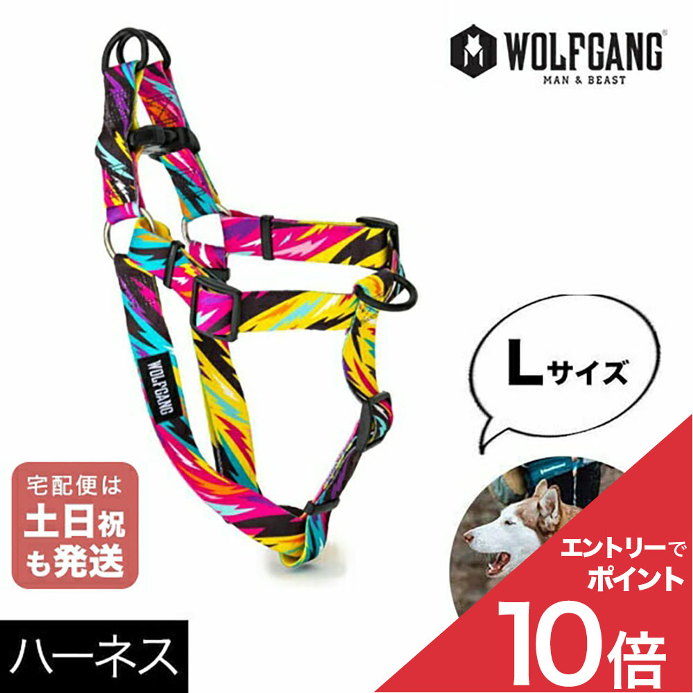 NEW ARRIVAL
