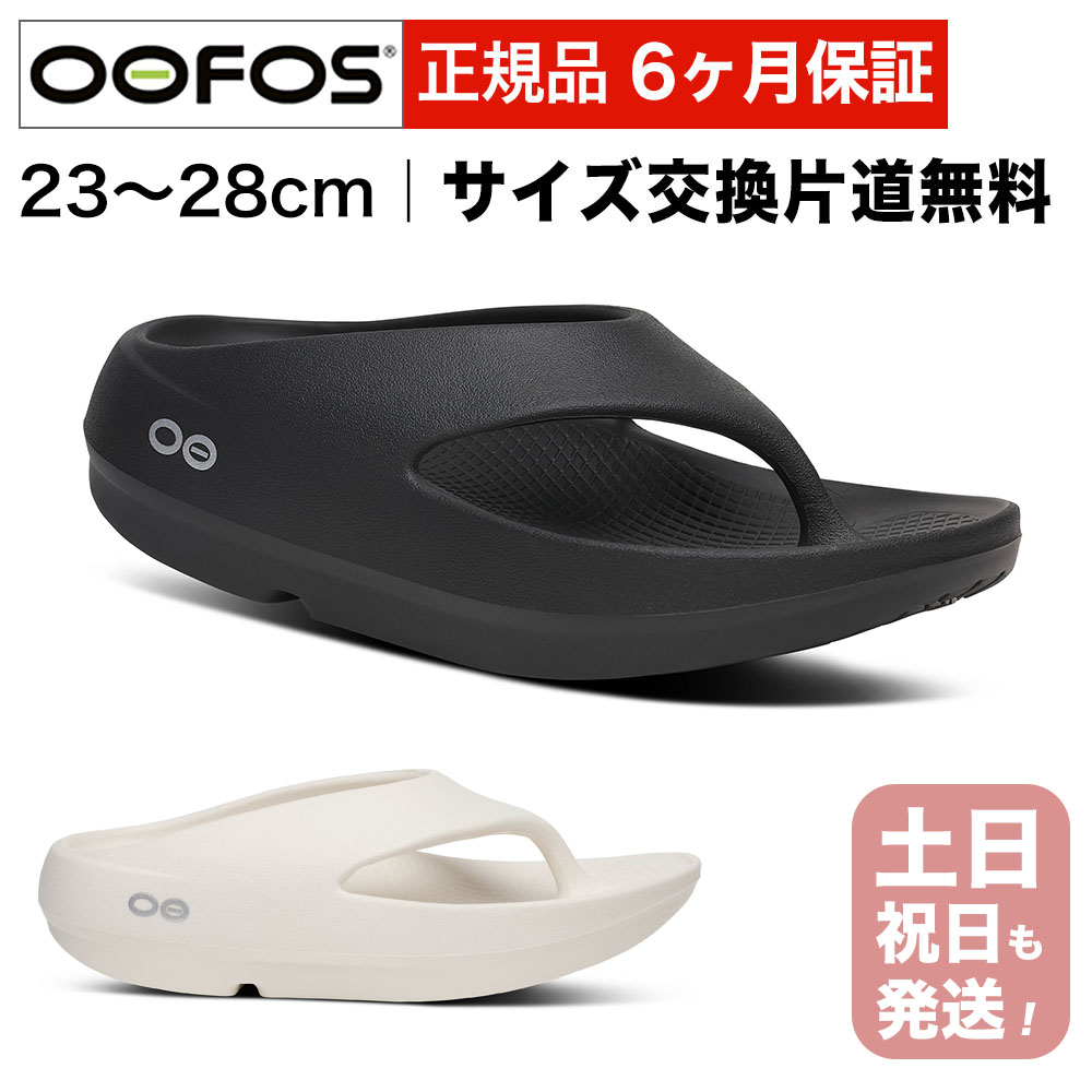 NEW ARRIVAL