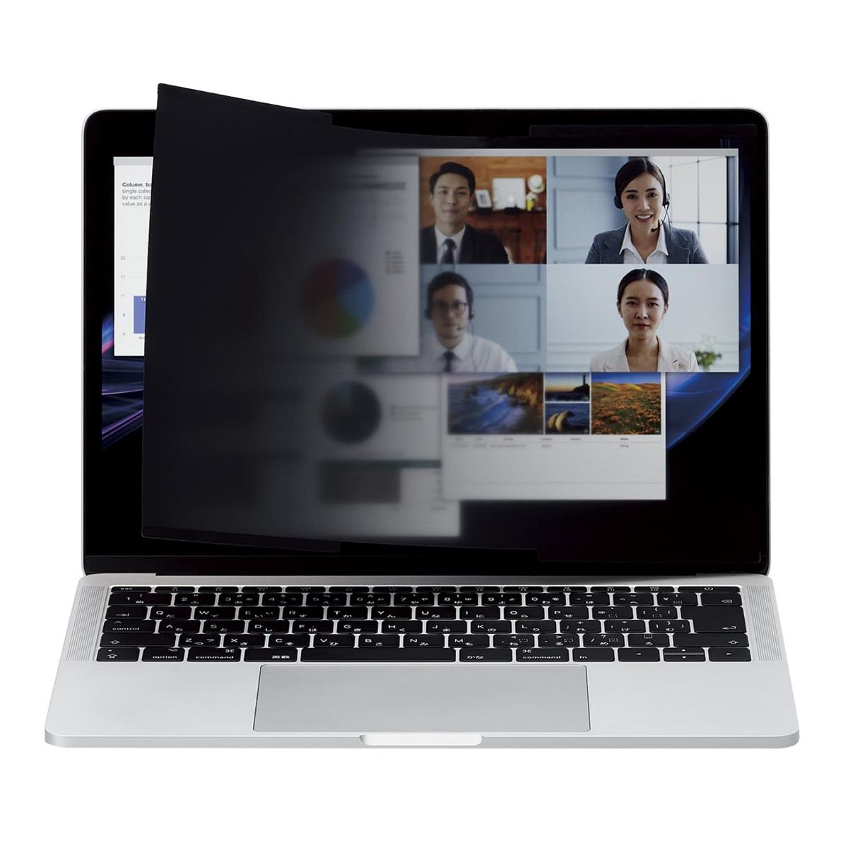 エレコム 液晶防御することこし器 のぞき見押しとどめる ナノサクション 13.3Win(16：10) EF-PF NS133W10
