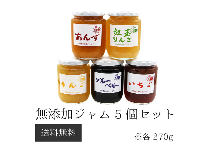 かなり5個しつらえる 皆無足すジャム5穀粒 ブルーベリー リンゴの木 いちご あんず 紅玉りんご 270g それぞれ1個 林檎 林檎 アップル 苺 アプリコットジャム 低糖 フルーツジャムセット つけ届 お歳暮 Cannes Encheres Com