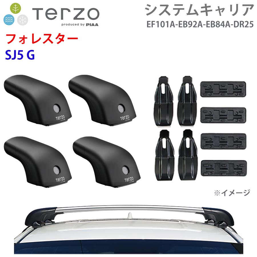 TERZO テルッツォ システムキャリア フォレスター SJ5 G 一台分 EF101A EB92A EB84A DR25 フット エアロバー シルバー 取付ホルダー E1E1