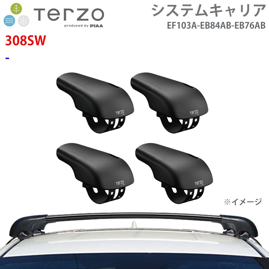 TERZO テルッツォ システムキャリア 308SW 一台分 EF103A EB84AB EB76AB フット エアロバー E1E1
