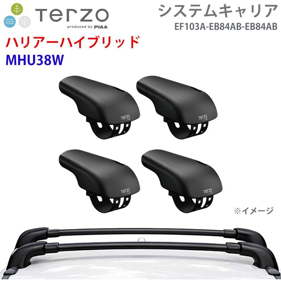 TERZO テルッツォ システムキャリア ハリアーハイブリッド MHU38W 一台分 EF103A EB84AB EB84AB フット エアロバー E1E1
