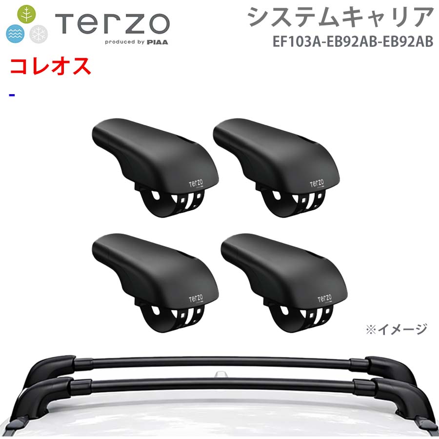 TERZO テルッツォ システムキャリア コレオス 一台分 EF103A EB92AB EB92AB フット エアロバー E1E1｜NyaaaLinks