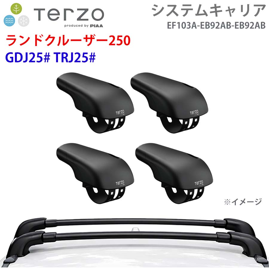 TERZO テルッツォ システムキャリア ランドクルーザー250 GDJ25# TRJ25# 一台分 EF103A EB92AB EB92AB フット エアロバー E1E1