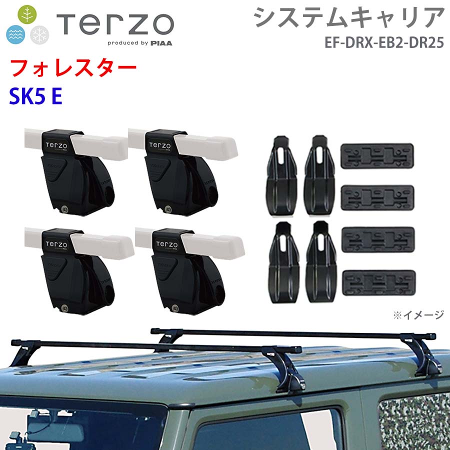 TERZO テルッツォ システムキャリア フォレスター SK5 E 一台分 EF-DRX EB2 DR25 フット スクエアバー 取付ホルダー E1E1｜NyaaaLinks