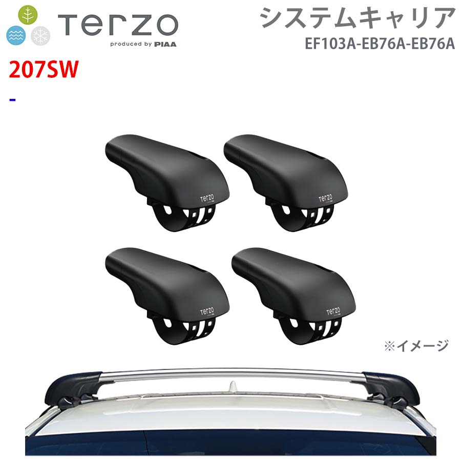 TERZO テルッツォ システムキャリア 207SW 一台分 EF103A EB76A EB76A フット エアロバー シルバー E1E1｜NyaaaLinks