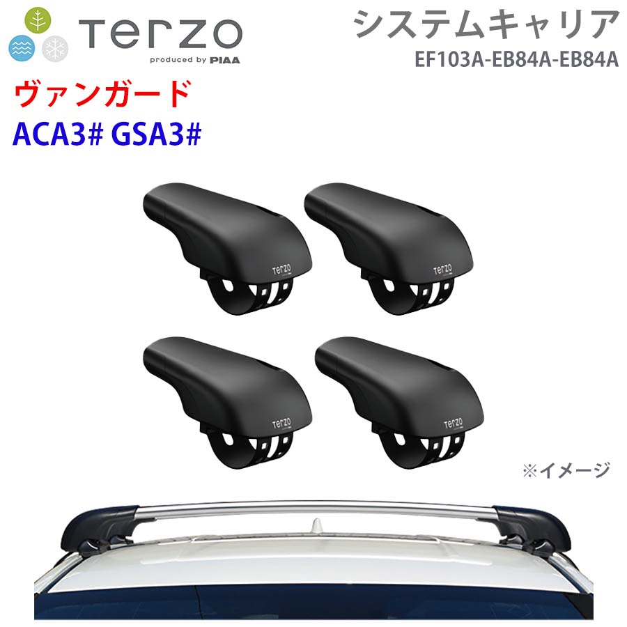 TERZO テルッツォ システムキャリア ヴァンガード ACA3# GSA3# 一台分 EF103A EB84A EB84A フット エアロバー シルバー E1E1