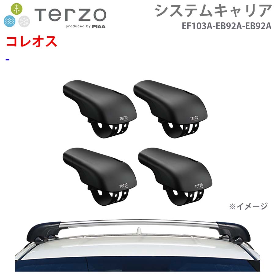 TERZO テルッツォ システムキャリア コレオス 一台分 EF103A EB92A EB92A フット エアロバー シルバー E1E1|NyaaaLinks