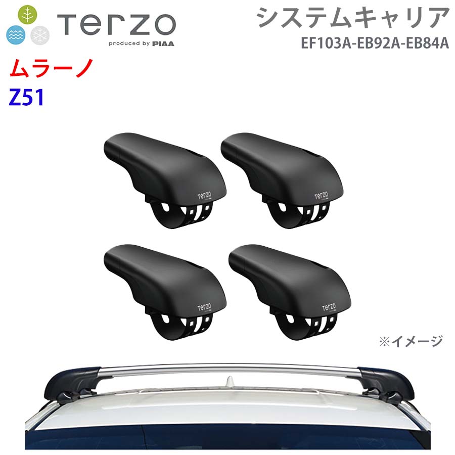 TERZO テルッツォ システムキャリア ムラーノ Z51 一台分 EF103A EB92A EB84A フット エアロバー シルバー E1E1