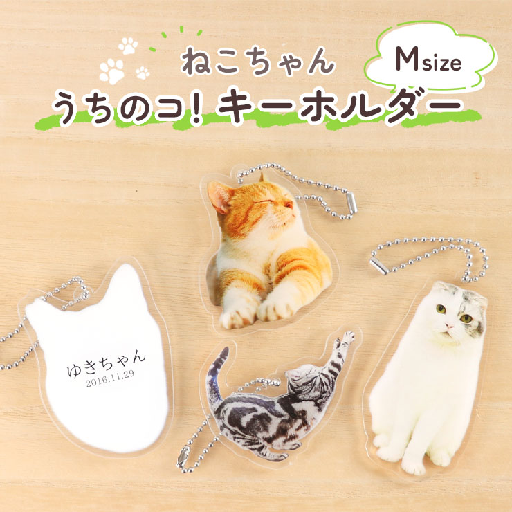 ギフト 写真 キーホルダー 猫 キーホルダー ペット オリジナル