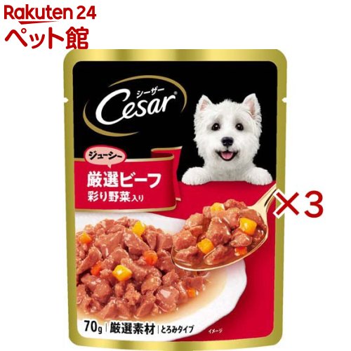 シーザー ジューシー厳選ビーフ 彩り野菜入り 成犬用 ウェットフード(16袋入×3セット(1袋70g))【シーザー(ドッグフード)(Cesar)】