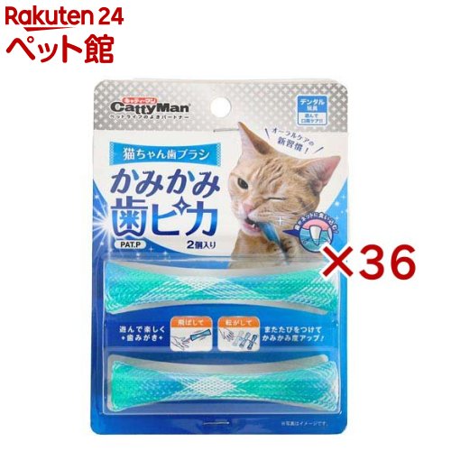 猫ちゃん歯ブラシ かみかみ歯ピカ(2個入×36セット)【キャティーマン】