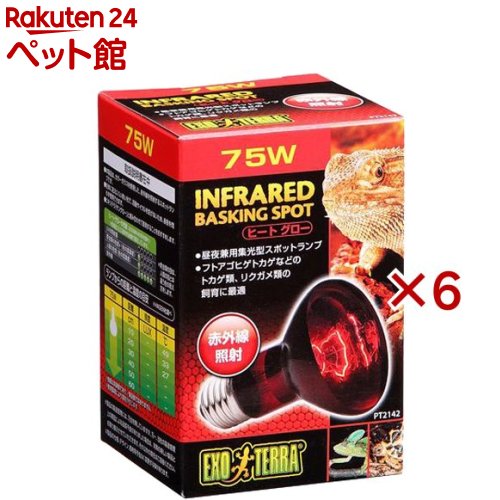 エキゾテラ ヒートグロー 赤外線照射スポットランプ 75W PT2142(6セット)【エキゾテラ】|24 ペット館