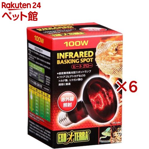 エキゾテラ ヒートグロー 赤外線照射スポットランプ 100W PT2144(6セット)【エキゾテラ】|24 ペット館