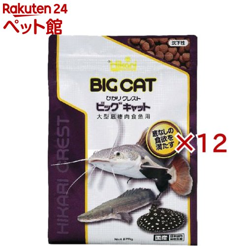 ひかり クレスト ビッグキャット(570g×12仕掛ける)【ひかり】