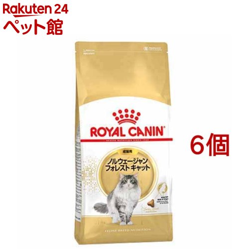 好評 ロイヤルカナンfbn ノルウェージャン フォレストキャット 成猫 2kg 6コセット D Rc D Rc ロイヤルカナン Royal Canin キャットフード 爽快ペットストア 爽快ペットストア 国際ブランド Neostudio Ge