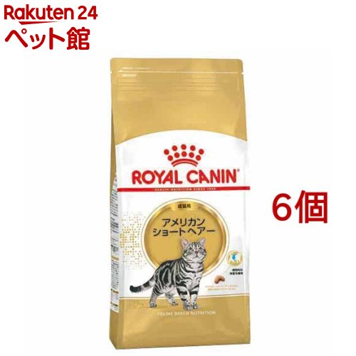 ロイヤル聖地 FBN アメリカンショートヘアー 成猫用(2kg*6コセット)【d_rc】【d_rc20】【ロイヤル聖地(ROYAL CANIN)】[キャットフード]