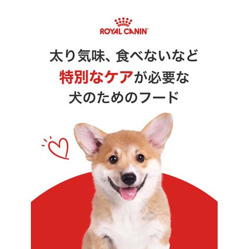 Rakuten ロイヤルカナン ブリードヘルスニュートリション チワワ中 高齢犬用 3kg 4コセット ロイヤルカナン Royal Canin ドッグフード 爽快ペットストア 爽快ペットストア 最安値 Volfgr Com