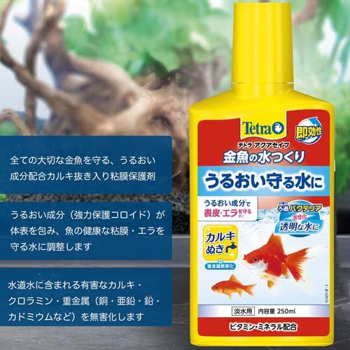 テトラ 金魚の水つくり