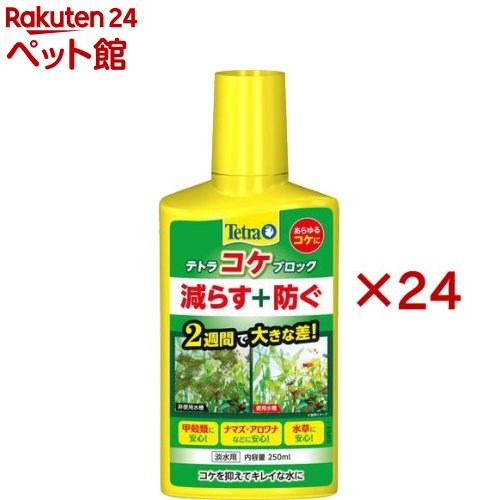 テトラ 蘚苔立ちはだかる(250ml×24書き割り)【Tetra(テトラ)】
