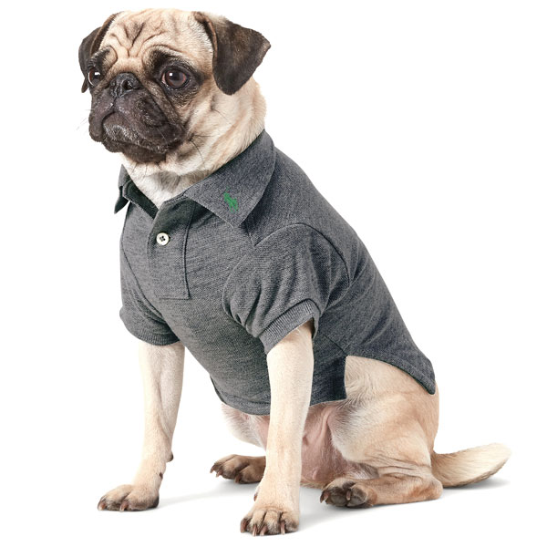 送料無料 メール便 ポロ ラルフローレン ラルフ Polo Ralph Lauren ペット服 ドッグウエア ドッグウェア ドッグコート ポロシャツ ビッグポニー 犬用コート 犬服 犬の服 犬 ドッグ ワンちゃん わんちゃん ブランド アメリカ正規店輸入商品 Msra 007 Csecully Fr