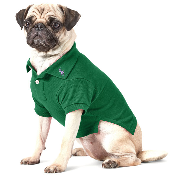 貨物輸送無料 メイル便 ポロ ラルフローレン ラルフ Polo Ralph Lauren トランペットお召し ドッグ衣類 ドッグウェア ドッグトップコート ポロtシャツ ビッグ子馬 ドッグ職能コート 犬服 犬の服 犬 ドッグ 一父っつぁん わんちゃん 銘柄 アメリカ清規商店輸入商物