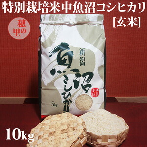 令和7年産☆特別栽培米中魚沼産コシヒカリ10kg(穂の里)[玄米]｜にょらげんき（中魚沼コシヒカリ） 7,592円