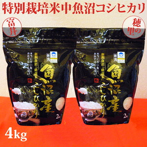 令和7年産新米☆極上味わい梅セット☆特別栽培米中魚沼産コシヒカリ4kg