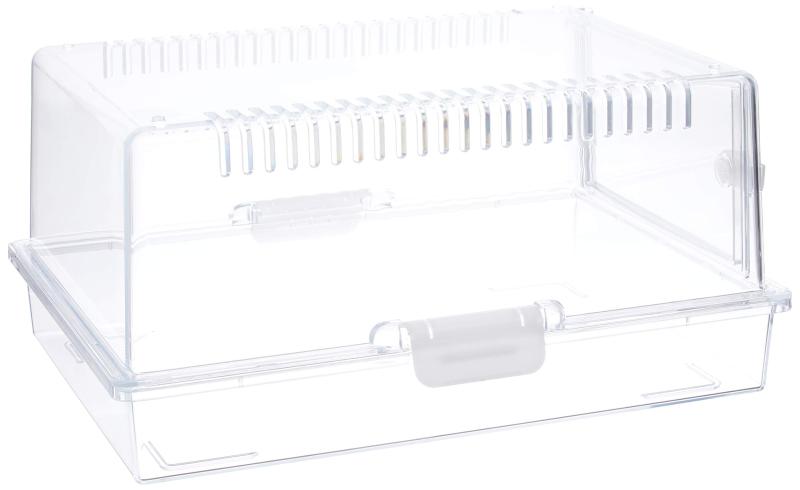 バラ売り可！最終値下げ！ディープフォレスト★Queue キュー★3個セット 楽天市場】ディープフォレスト キュー DeepForest Queue