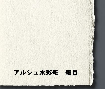 アルシュ 水彩紙 ブロック 300g 細目36X51cm 20枚 (1795063