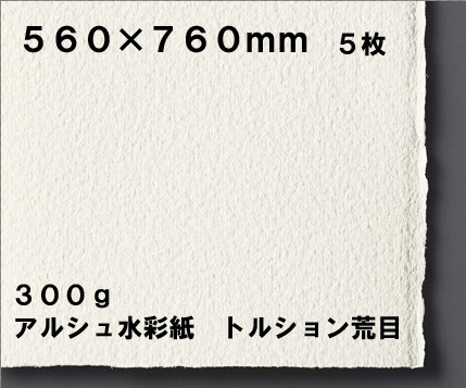 【お取り寄せ品】ARCHES アルシュ 水彩画紙 居敷き 300ｇ/m2 560×760粍トルション 荒目 ５枚